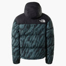 The North Face 1996 Printed Retro NUPTSE 700 Fill Packable Jacket Balsam Green Wooden Tiger Print