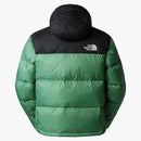 The North Face 1996 Retro Nupse 700 Riempimento Giacca confezionabile in erba profonda