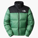The North Face 1996 Retro Nupse 700 Riempimento Giacca confezionabile in erba profonda