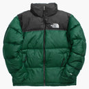 North Face 1996 Retro Nupse 700 Fulliable Bunda Green