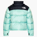 The North Face 1996 Retro Nupse 700 Fill Packable Jacket Wasabi