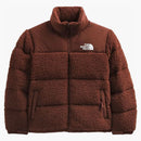 Severní tvář High Pile 600 plnila recyklovaná vodní ptactva dolů Nupse bunda Dark Oak