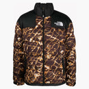 The North Face Lhotse Jacket Black/Gold