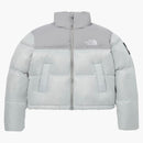 The North Face Women's Novelty Nupse Rds Down Jacket Ice Gray