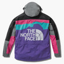 The North Face X Invincible 1994 Retro Mountain Light Jacket Multi
