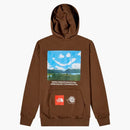 The North Face X Online Ceramics Pullover Hoodie Earth Brown