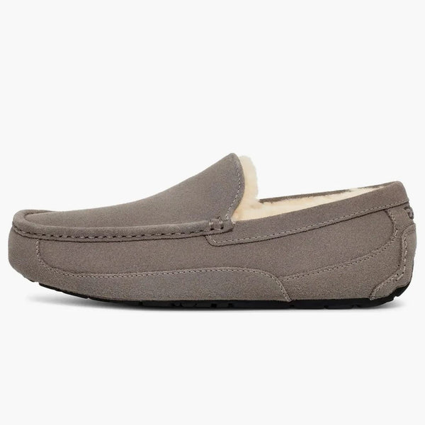 Ugg Ascot Slipper Grey