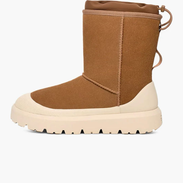 Ugg klasický hybridní boot s krátkým počasím kaštanem whitecap