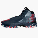 UA Curry 2.5 USA