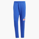 Adidas Future Icons Badge of Sport Pants Semi Lucid Blue