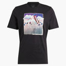 Grafické tričko Adidas krajiny černé