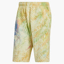 Adidas Pharrell Williams BB Shorts multicolore