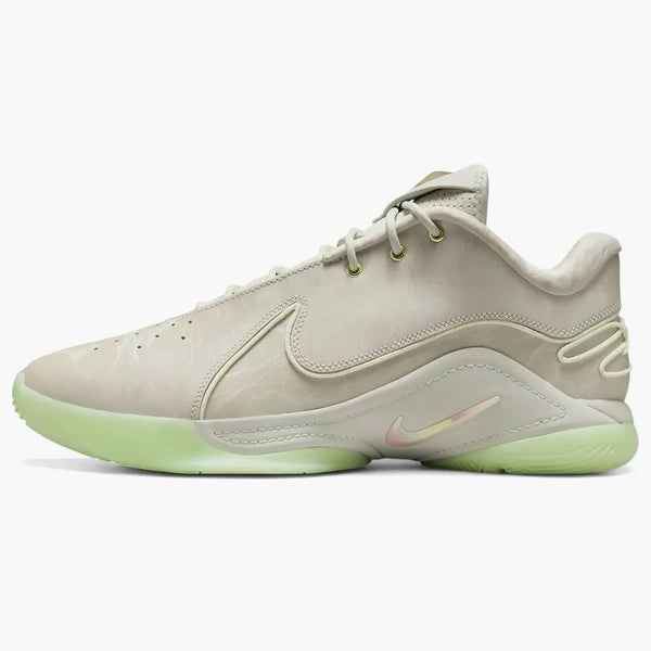 Nike Lebron 22 Dunkman