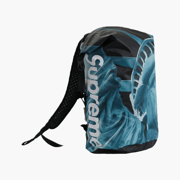 Kaufe Supreme TNF Backpack Statue of Liberty bei HYPENEEDZ